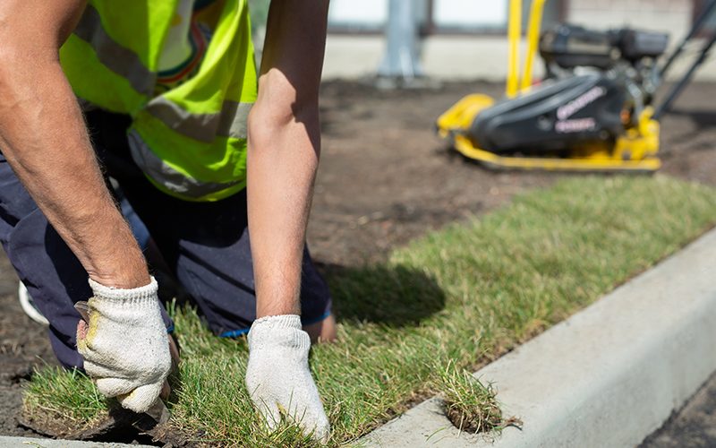 A landscape gardener is laying turf for a new lawn. Rolled lawn