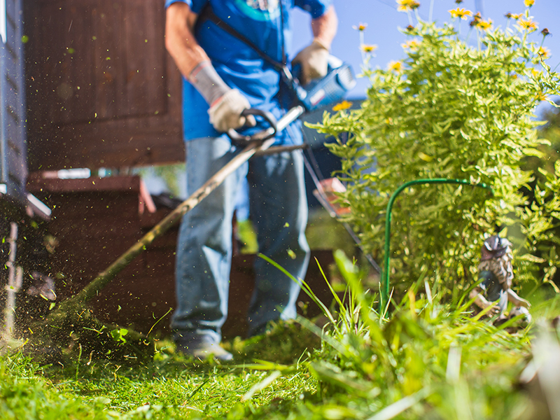 Man mowing tall grass with electric or petrol lawn trimmer in backyard. Gardening care tools and equipment. Process of lawn trimming with hand mower.