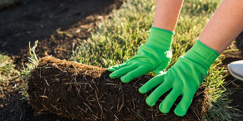 Close up woman laying sod for new garden lawn - turf laying